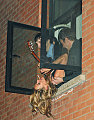 70412j2_moss_k_b_gr_01.preview_0 copy